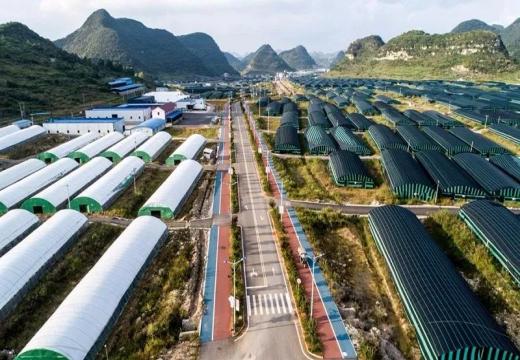贵州食用菌食品产业园
